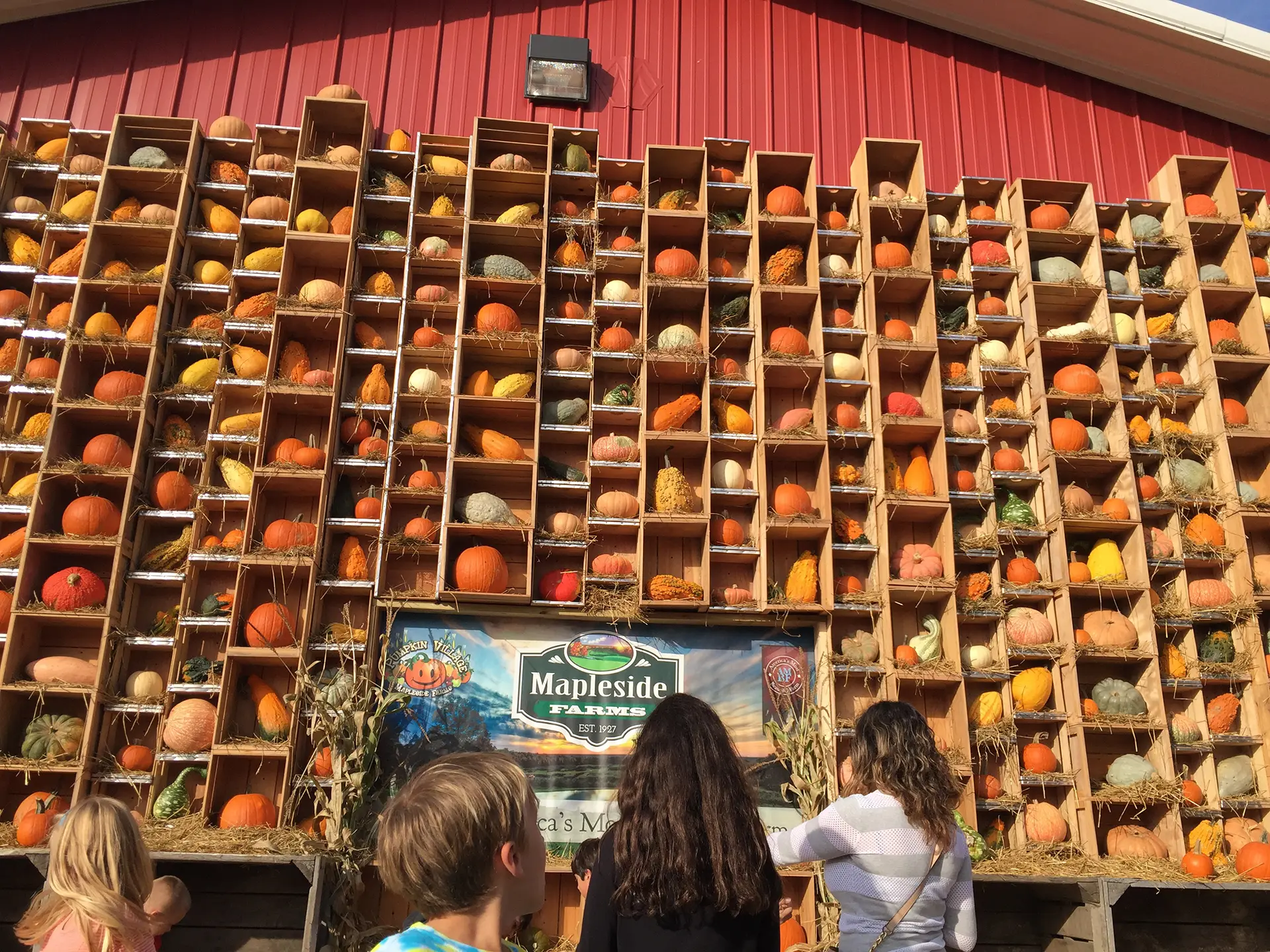 Great Pumpkin Fest